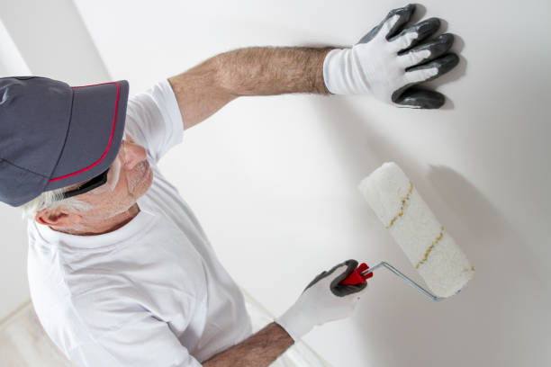 Best Mold Documentation for Insurance Claims  in Union Hill Novelty Hill, WA