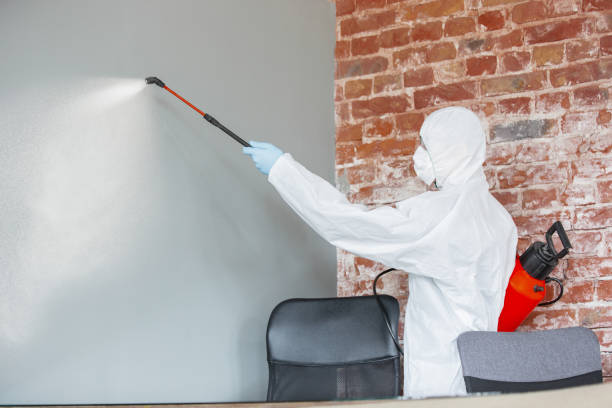 Best Mold Remediation for Healthcare Facilities  in Union Hill Novelty Hill, WA