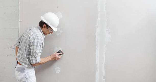 Best Basement Mold Removal  in Union Hill Novelty Hill, WA