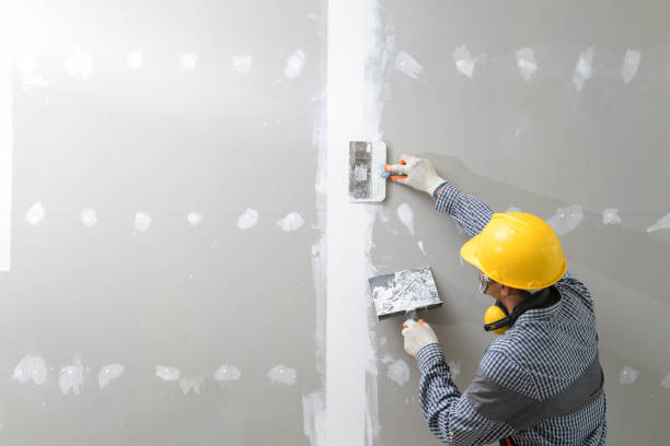 Best Mold Damage Restoration  in Union Hill Novelty Hill, WA