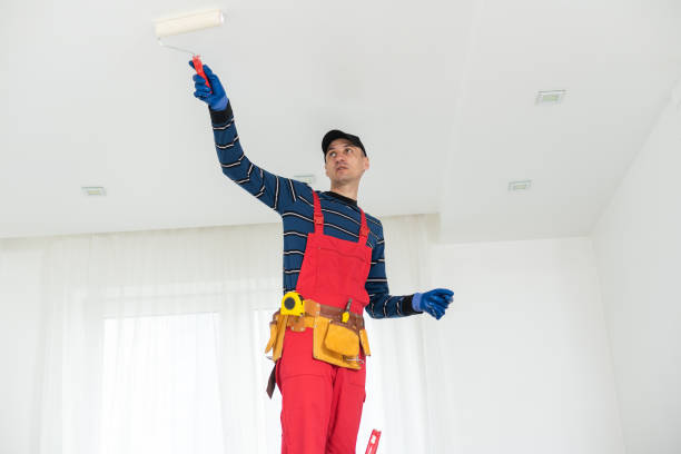 Best Crawl Space Mold Remediation  in Union Hill Novelty Hill, WA