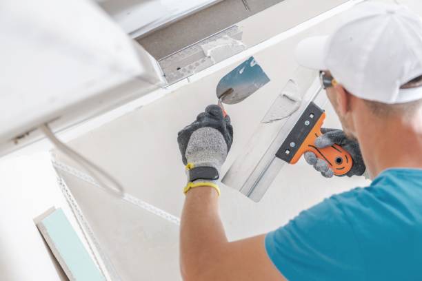 Best Black Mold Removal  in Union Hill Novelty Hill, WA